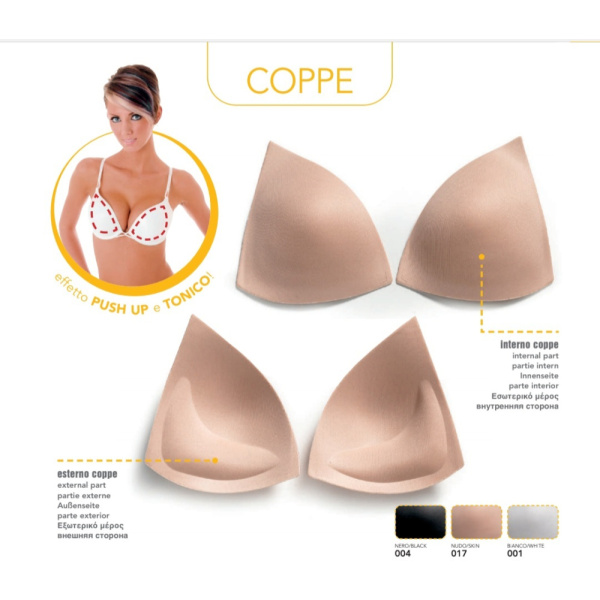 coppereggtriangpushup2